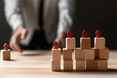 渤海大学张欣雨简介